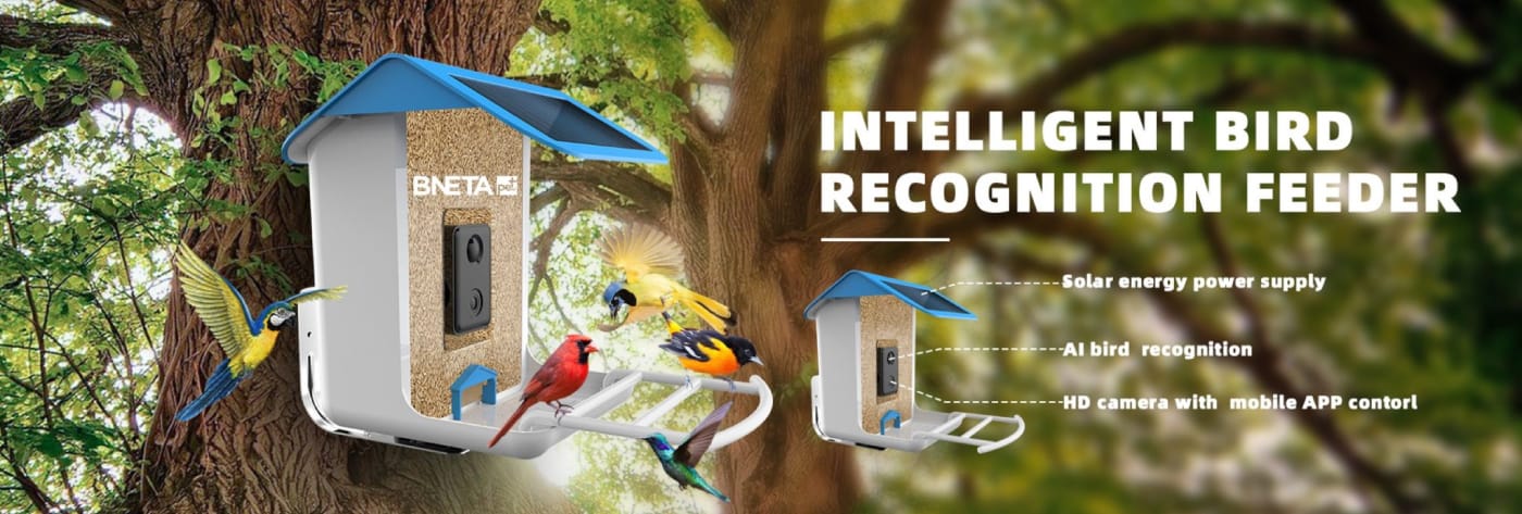 BNETA Pet Smart AI Birdfeeder BF002 Hero